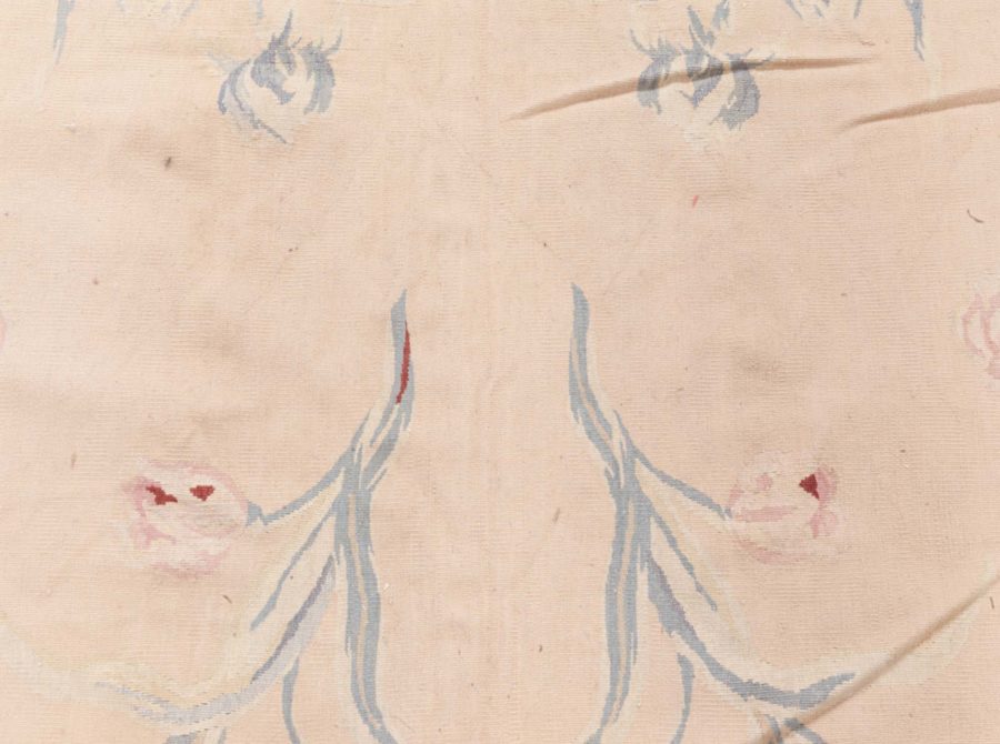 Aubusson Rug N12789