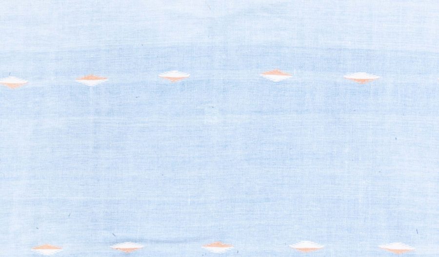 Indian Dhurrie Rug BB8670
