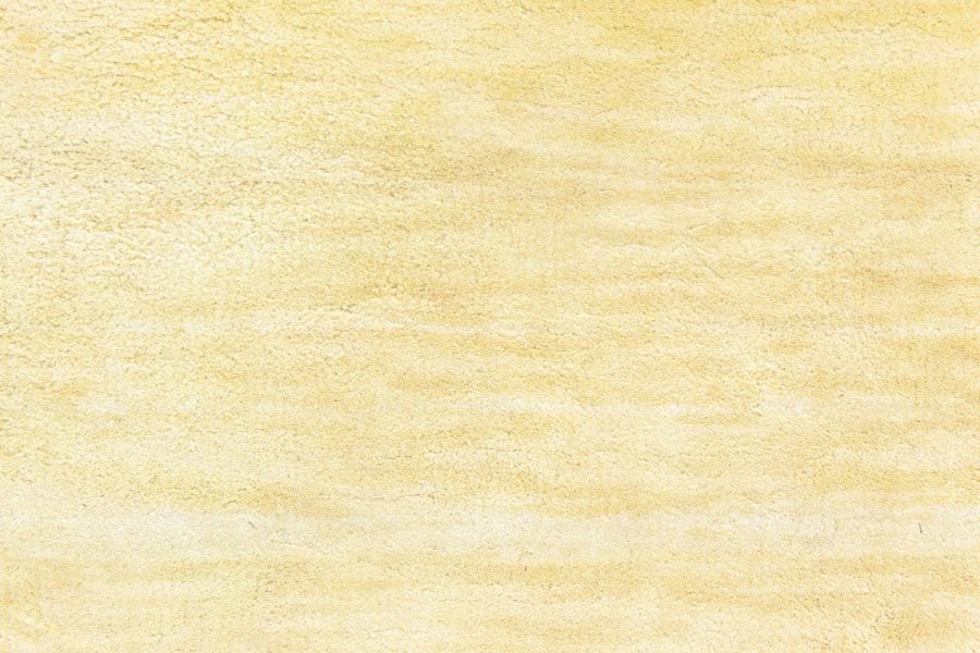 Contemporary Rug N12832