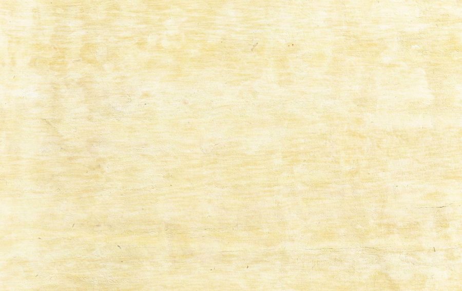 Contemporary Rug N12832