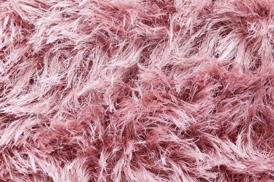 Shaggy Rug N12849