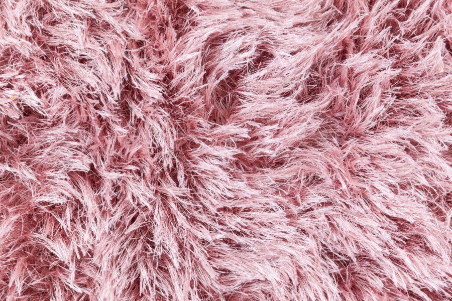 Shaggy Rug N12849