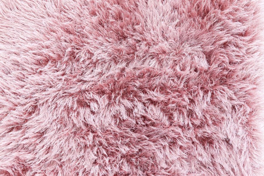 Shaggy Rug N12849