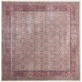 Antique Amritsar Allover Light Beige Hand-Knotted Wool Rug BB9249